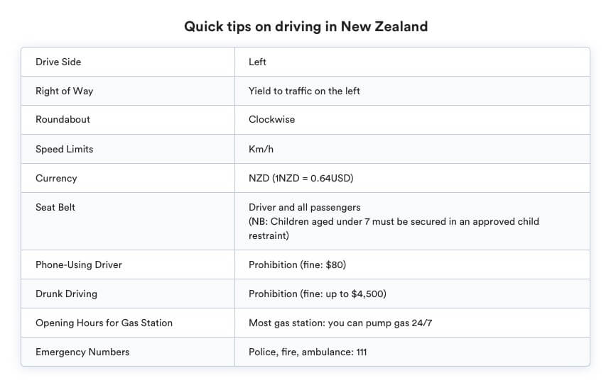 driving in new zealand