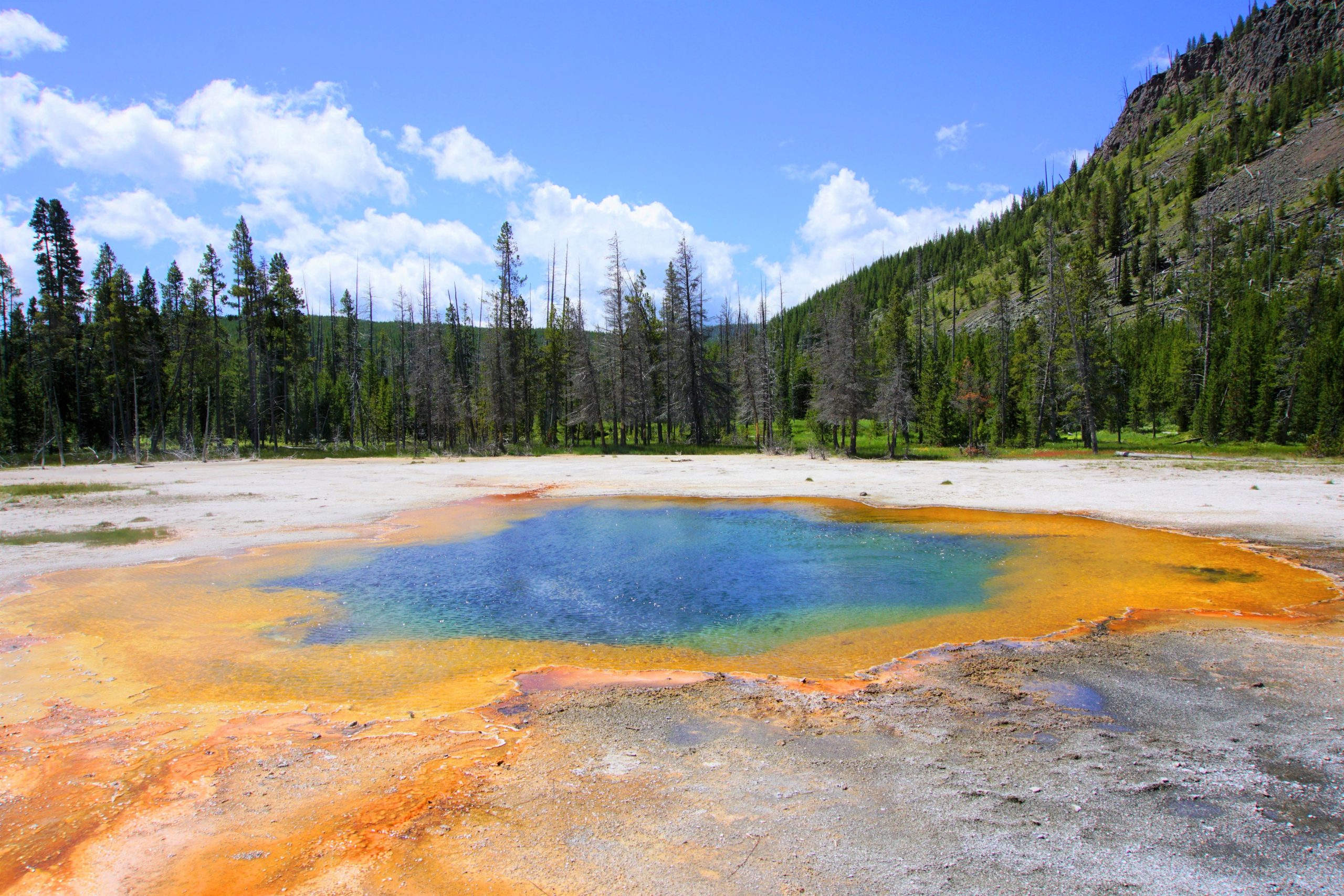 Yellowstone National Park The Most Famous National Parks In The Hot Sex Picture